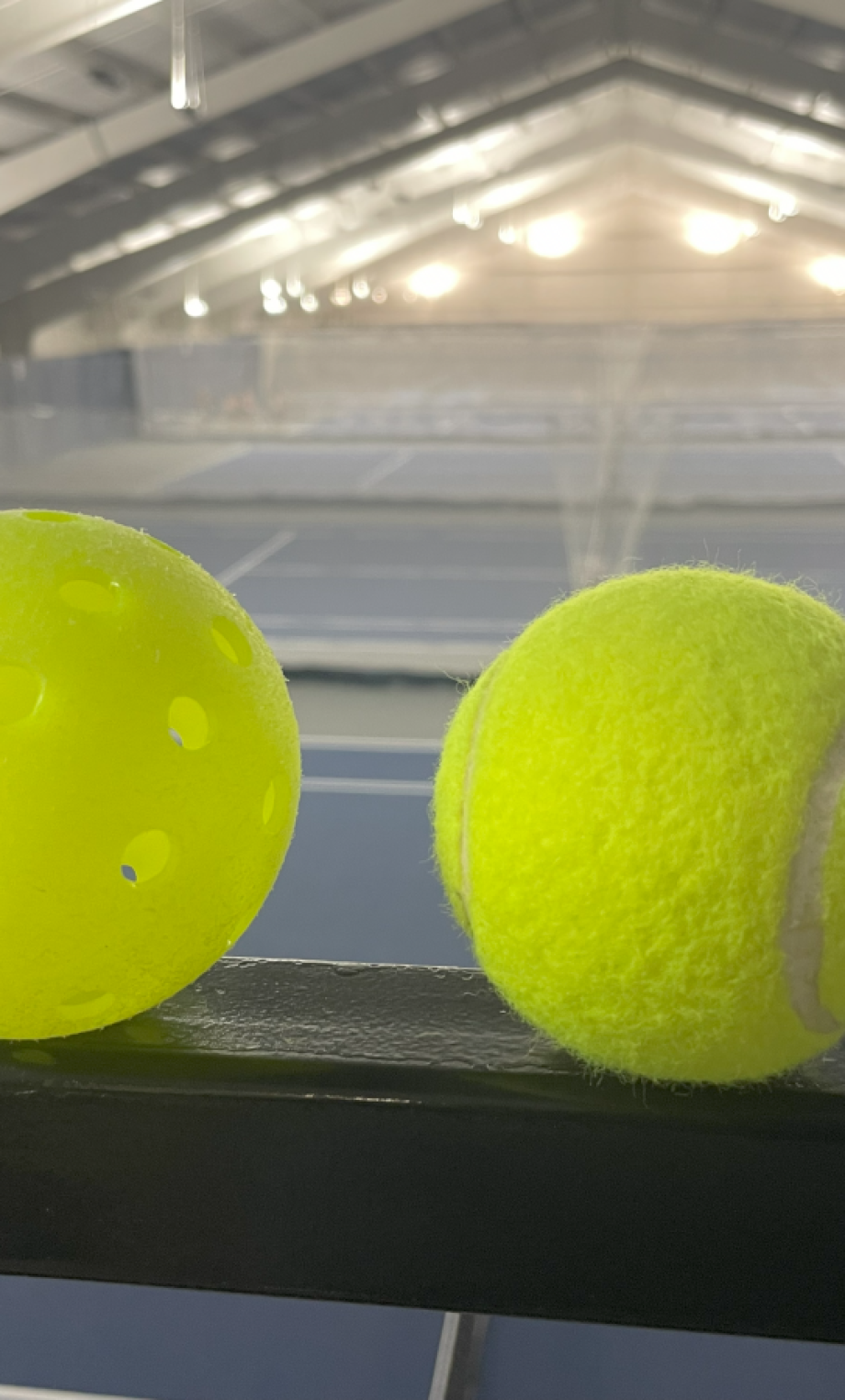 pickleball-tennisball-smaller